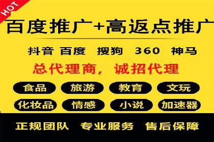 网络推广竞价策略案例分析
